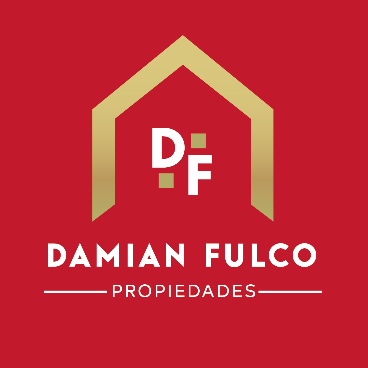 Damián Fulco Propiedades
